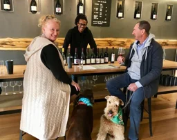 Pooches & Pinot logo