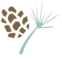 Pines Learning logo