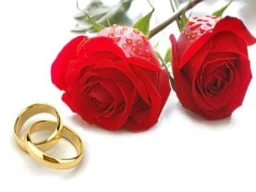 Access Civil Ceremonies logo